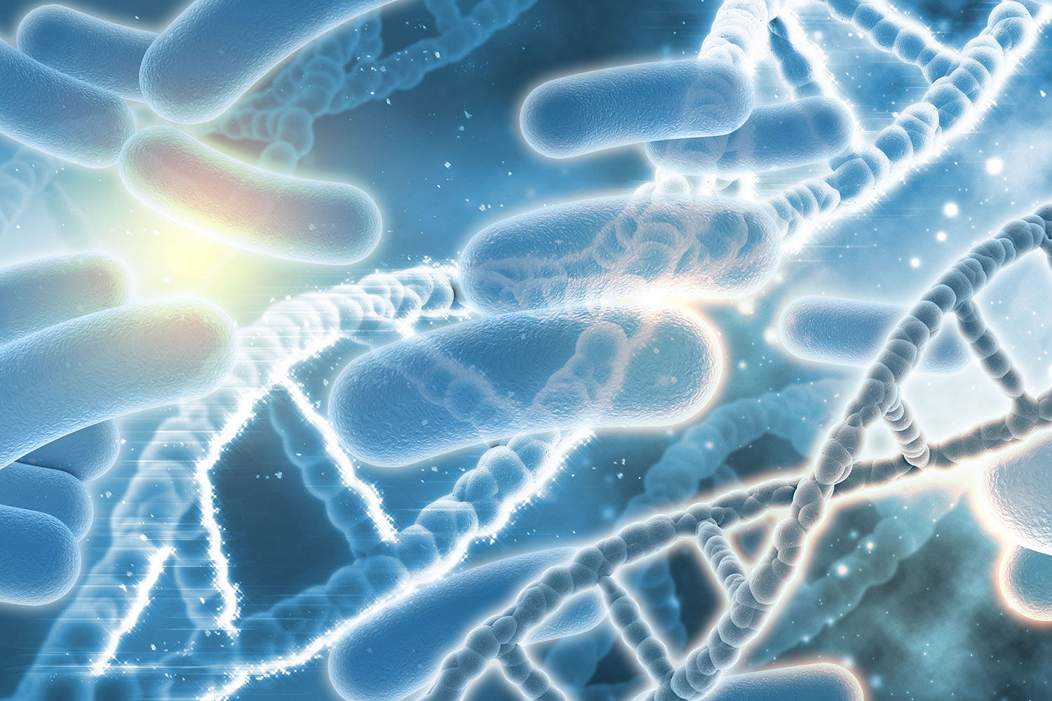 Esta bacteria se relaciona con el crecimiento del 50% de los cánceres de colon