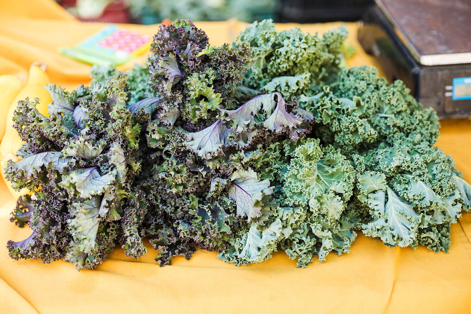 La verdura milagrosa que está llena de colágeno y calcio: mejora la memoria y fortalece los huesos