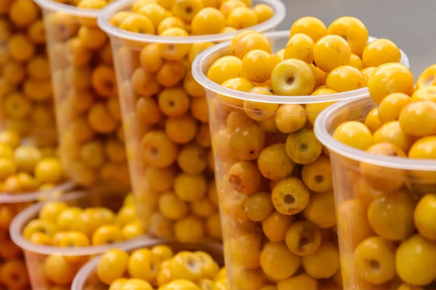 ¿Cuál es la fruta que contiene más colágeno?