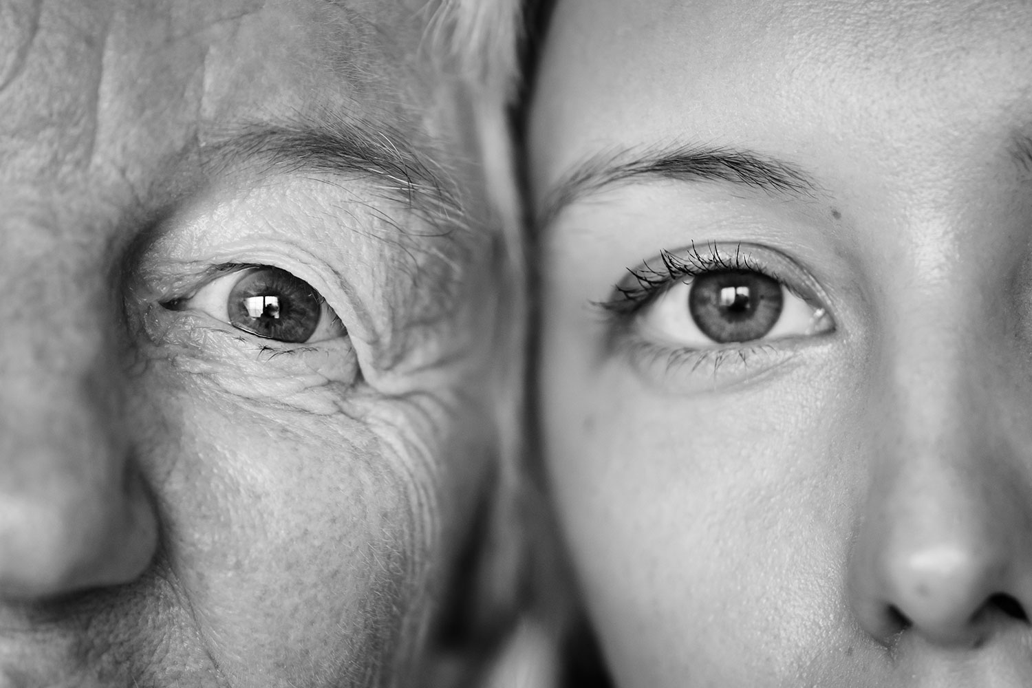Identifican una proteína importante para la esperanza de vida y el envejecimiento