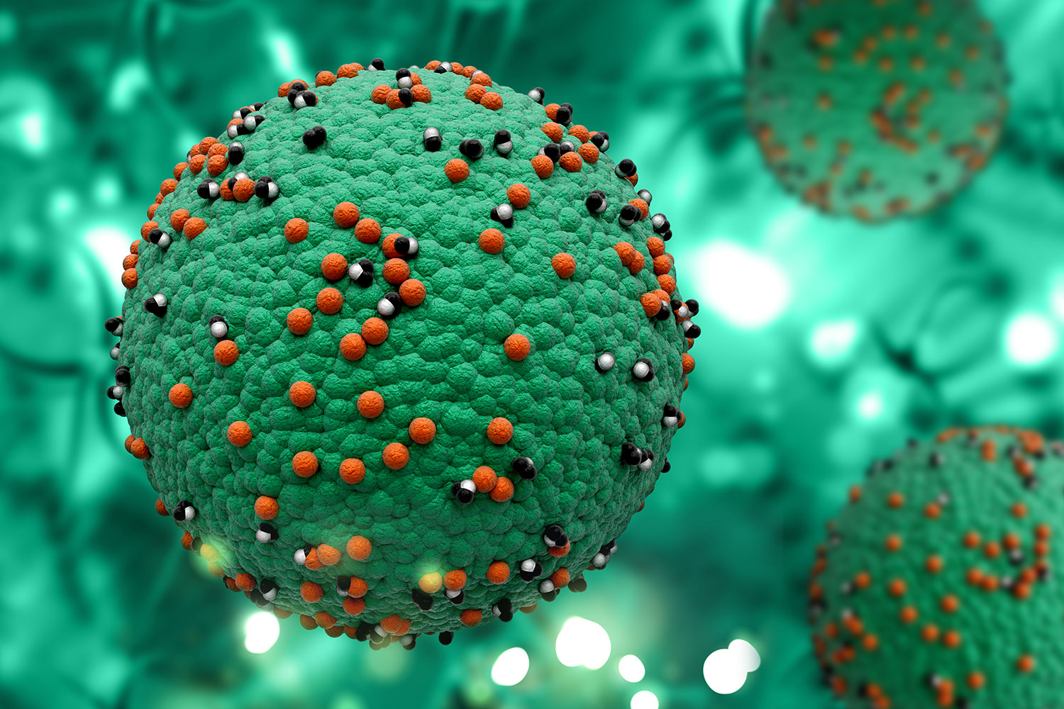 Descubren un arma prometedora contra el sarampión