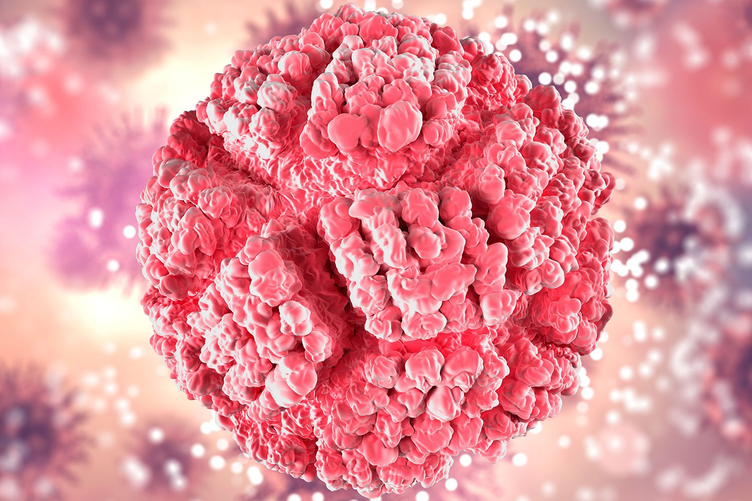 Hayan una relación entre la infección por citomegalovirus y el alzhéimer