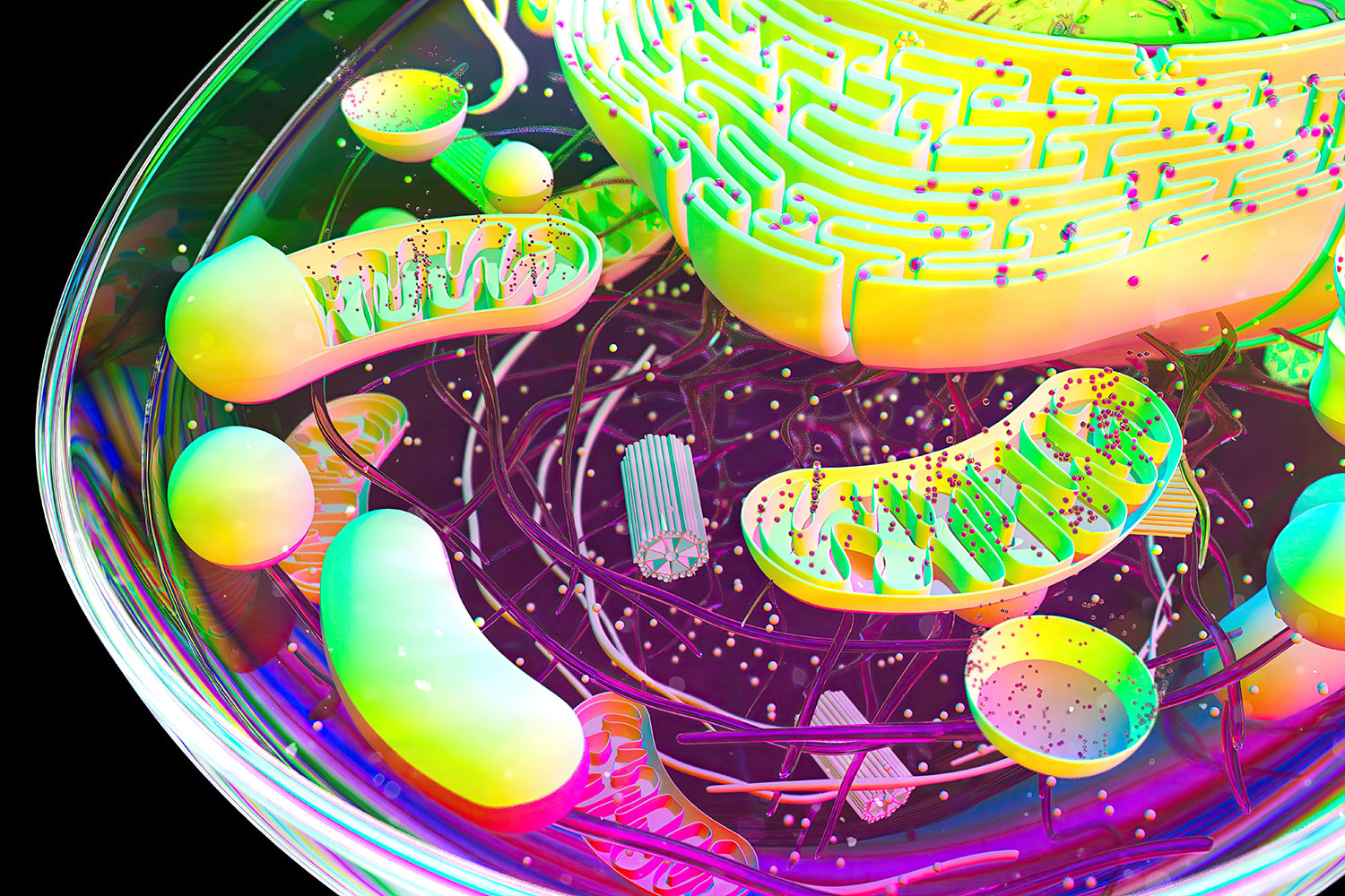 Descubren el talón de Aquiles de las bacterias resistentes a los antibióticos