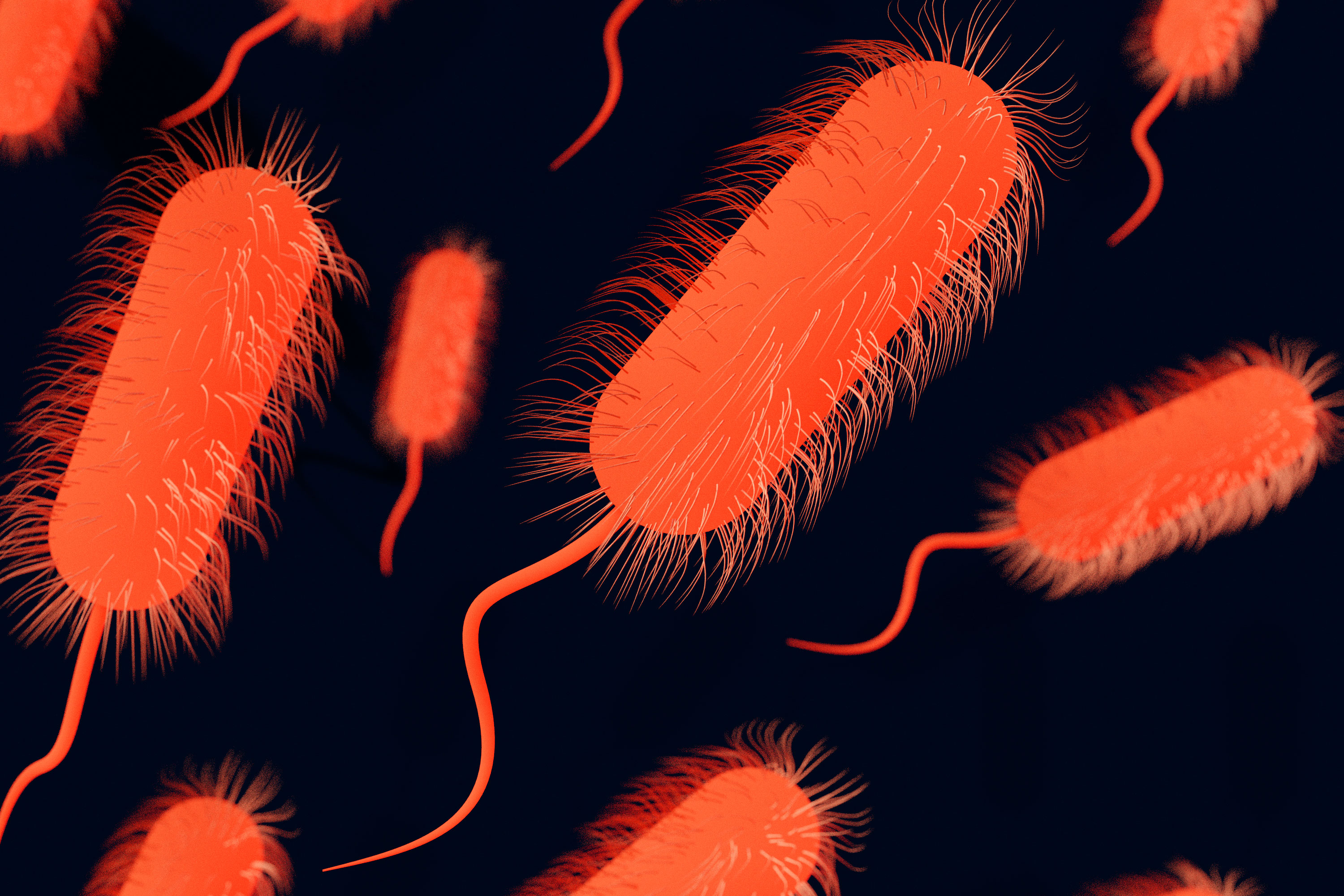 Una bacteria submarina efectiva contra el cáncer