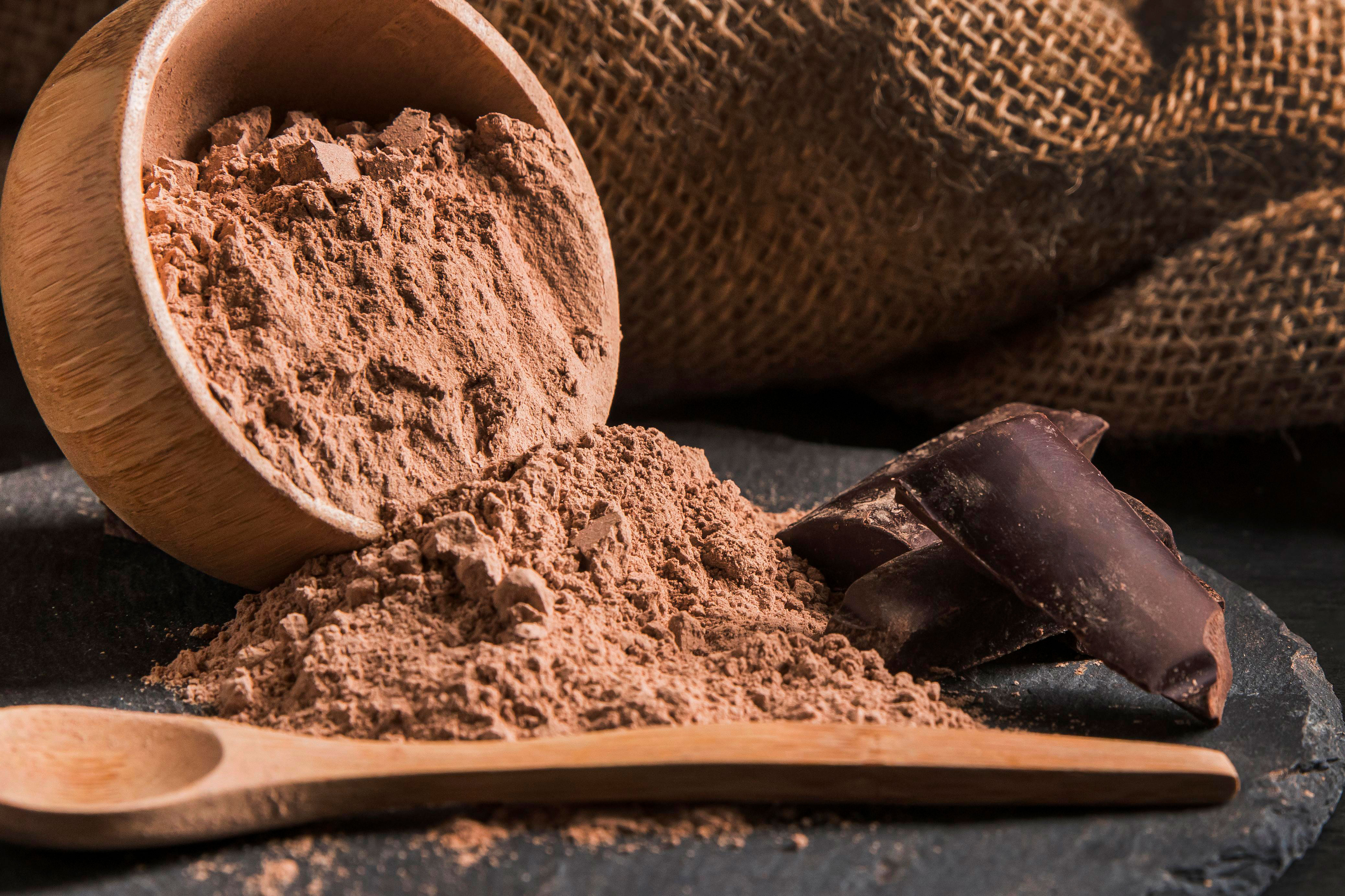 Cómo el cacao en polvo puede retrasar el envejecimiento cardiovascular y mejorar la salud cerebral