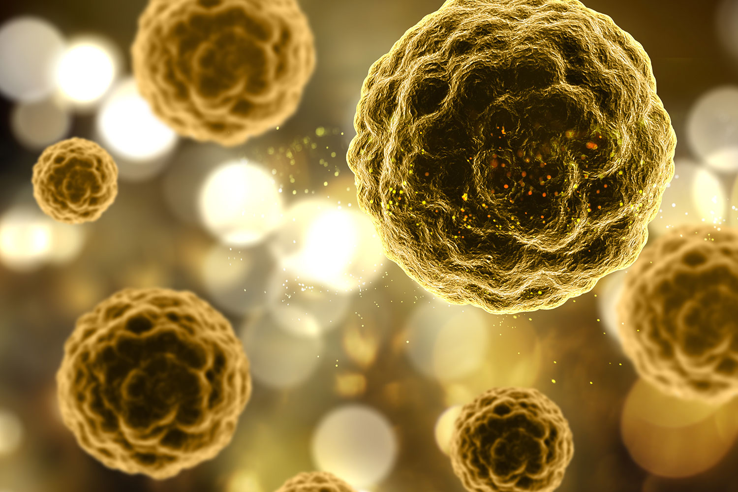 Células 'cómplices' del cáncer: el rol oculto del envejecimiento en los tumores