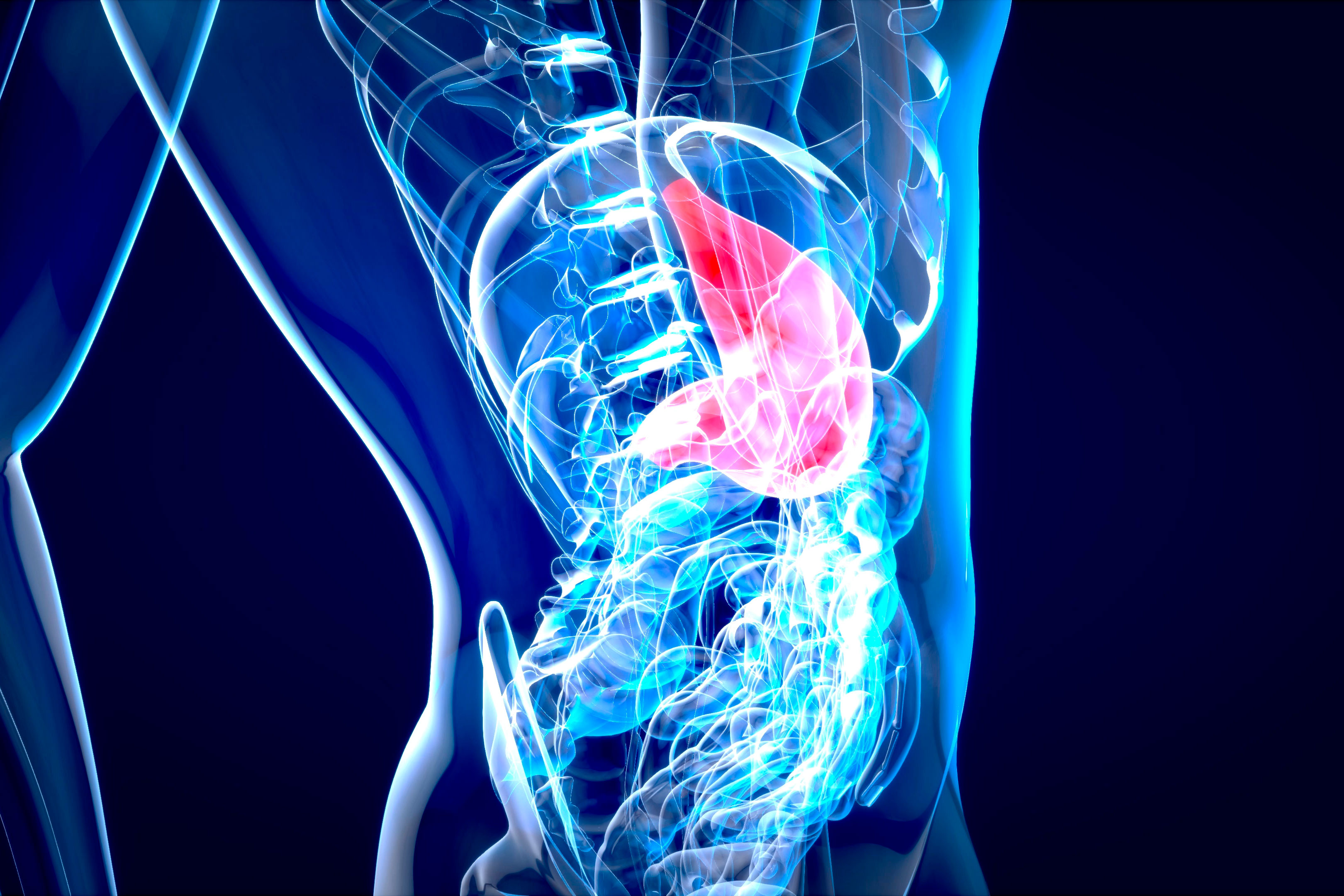 Dos fármacos que combaten el riesgo cardiovascular, ¿los nuevos aliados frente al hígado graso?